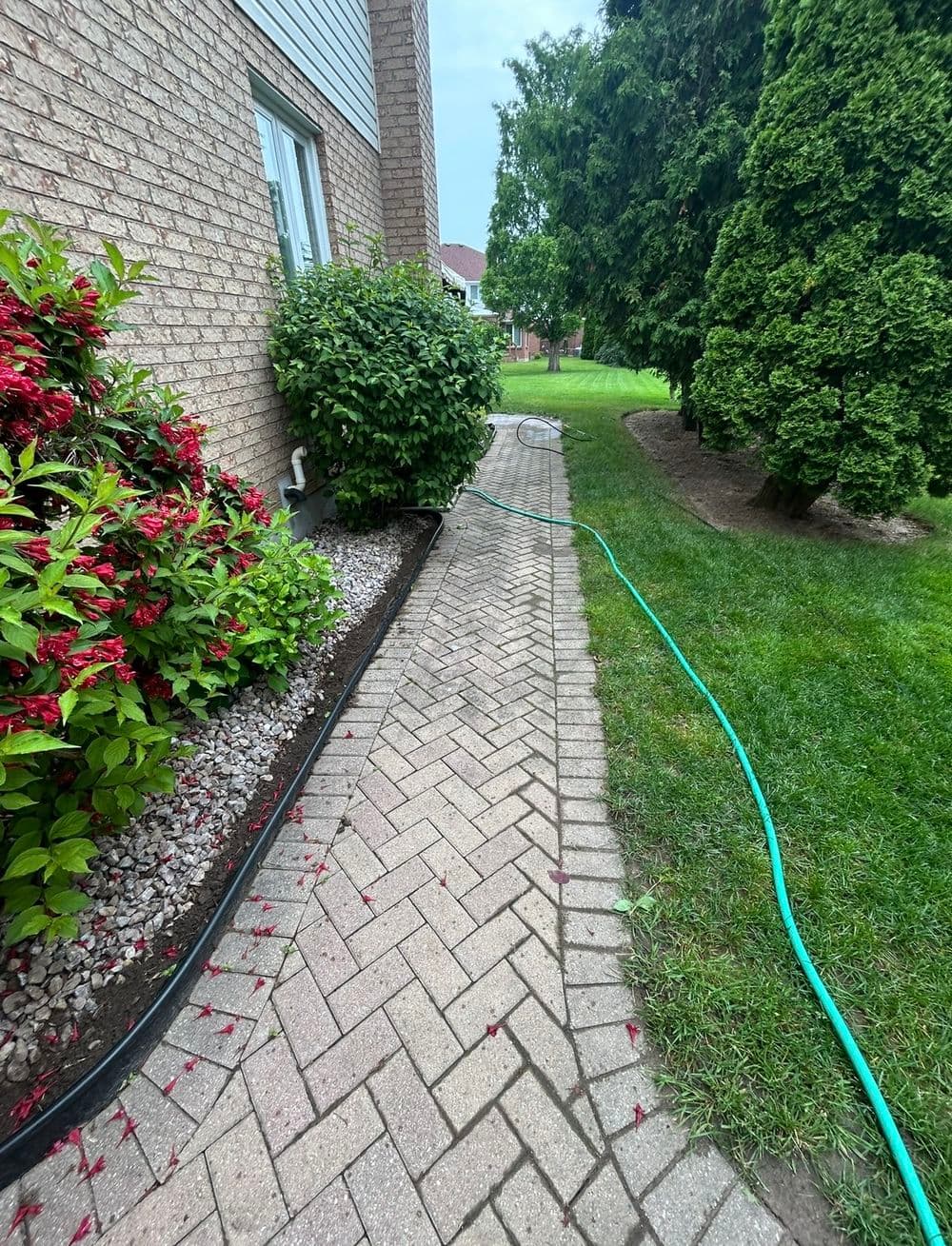 Gallery photos for Red Brick Walkway Repair- St.Catharines: Image #1