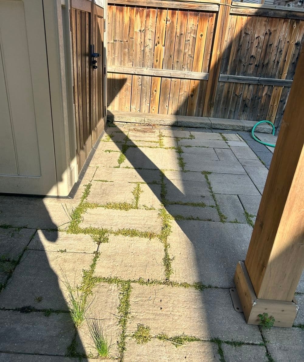 Gallery photos for Interlock Repair and Restoration in Stoney Creek: Image #7