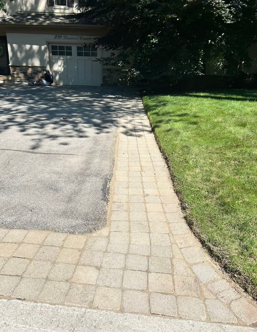 Gallery photos for Grass Between Pavers Transformation: Image #6