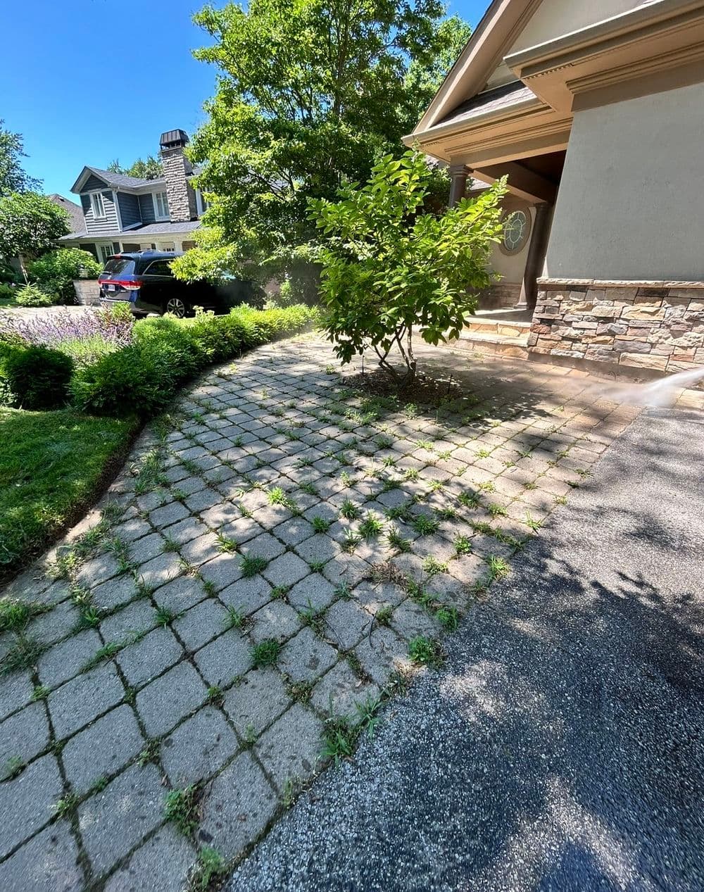 Gallery photos for Grass Between Pavers Transformation: Image #3