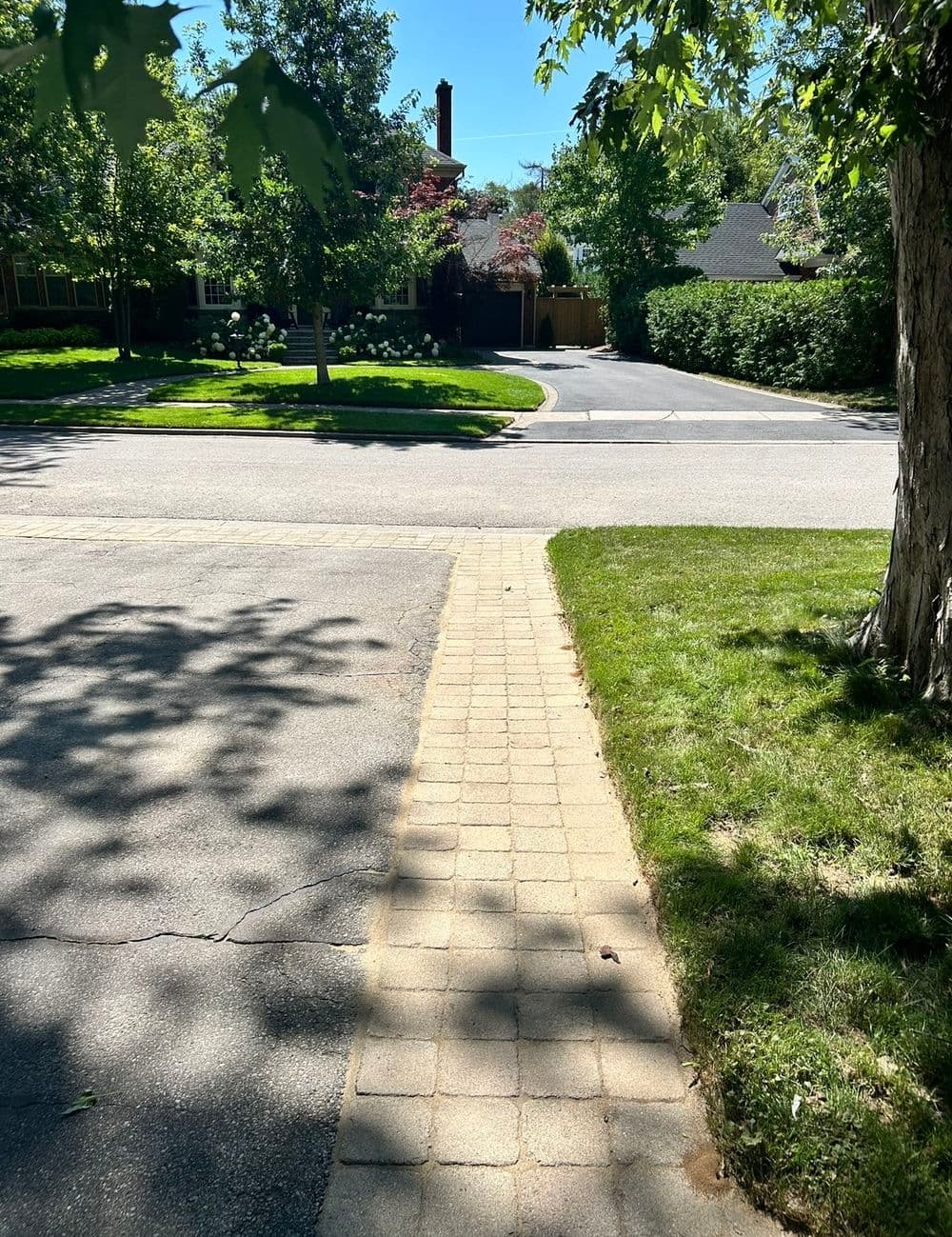 Gallery photos for Grass Between Pavers Transformation: Image #1