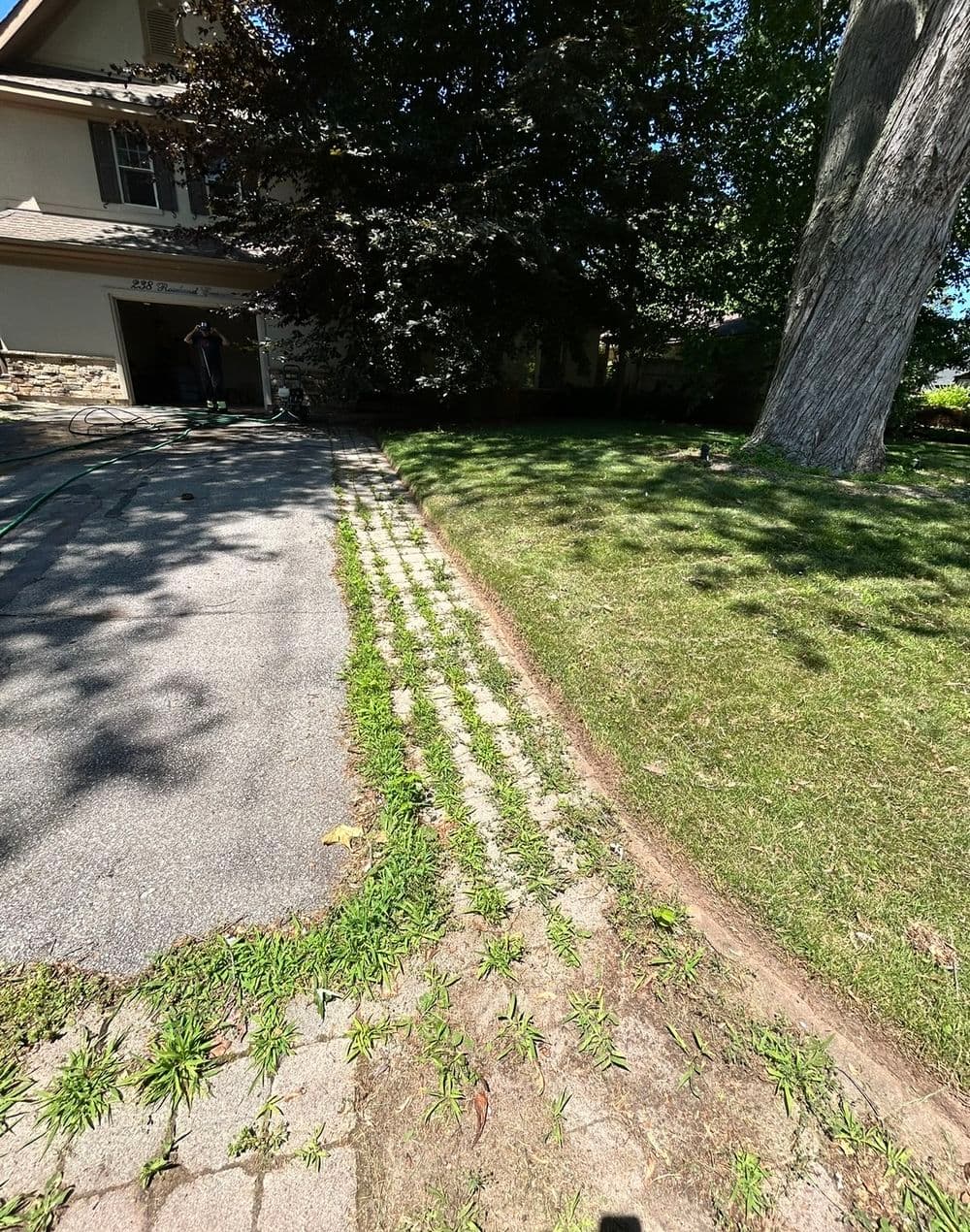 Gallery photos for Grass Between Pavers Transformation: Image #5