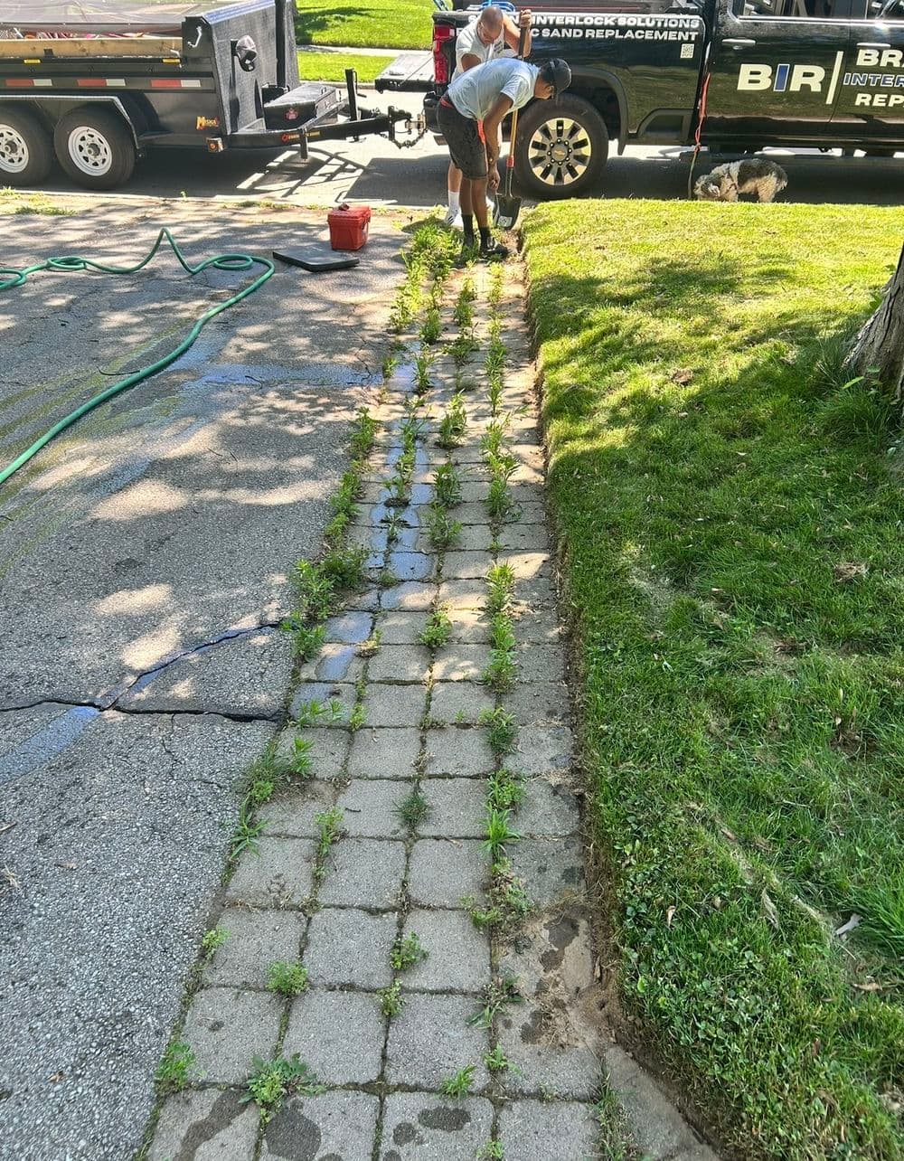 Grass Between Pavers Transformation image