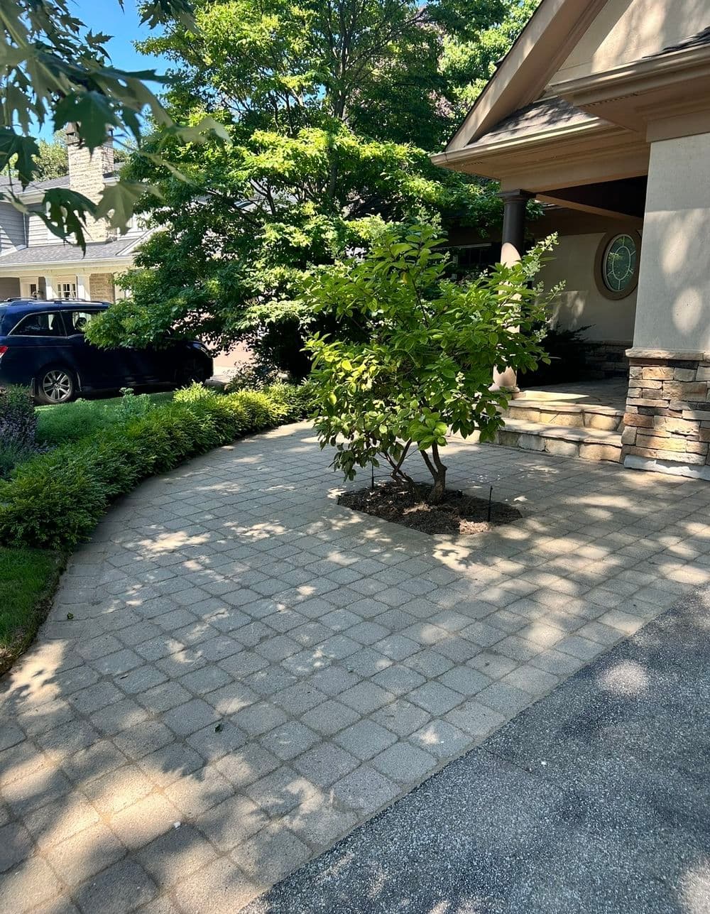 Gallery photos for Grass Between Pavers Transformation: Image #4