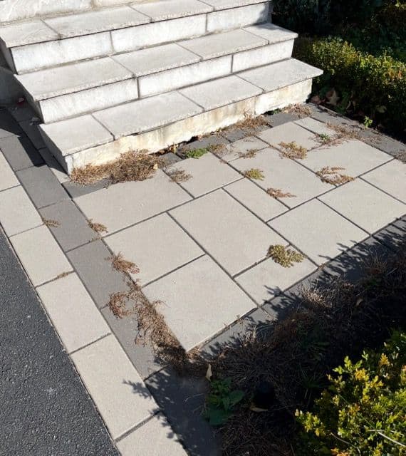 Enhance Your Commercial Property's Curb Appeal with Professional Interlock Services image